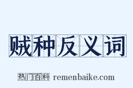 贼种反义词是什么意思的图片